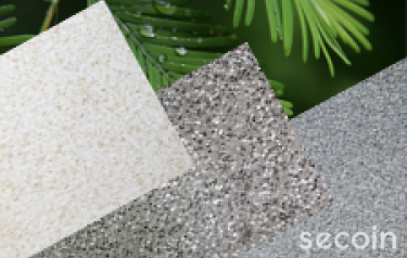 Stone Chips Terrazzo